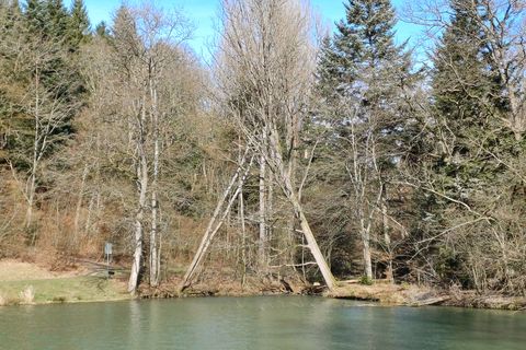 Am Paulinensee