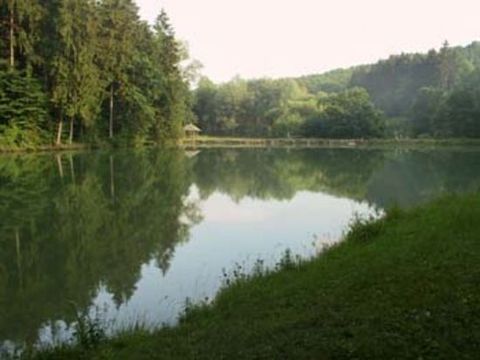 Blick auf den Paulinensee