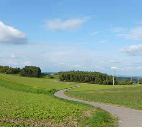Sanfte Hügel, grüne Wiesen (Foto: Weeber)